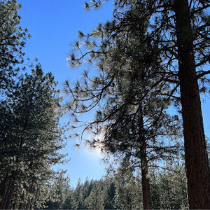 Meet your Posher, Glodiss